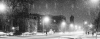 Cambridge Mass. Ave. at Night